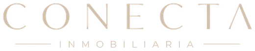Conecta Inmobiliaria