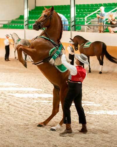 Cartel de Ritmo a Caballo