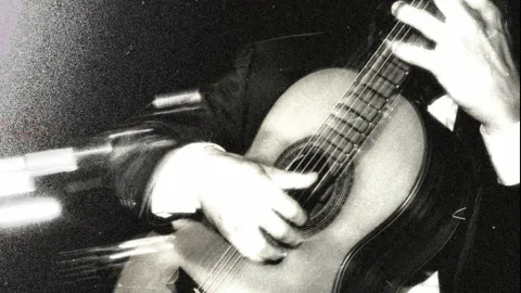 Moderna · Flamenco #01